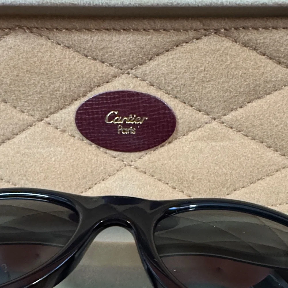 Authentic Cartier Kids Sunglasses - Black Frame with Gold Details - Picture 4 of 10